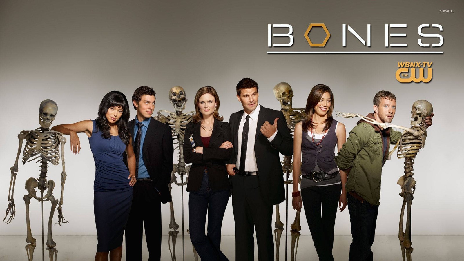 Bones